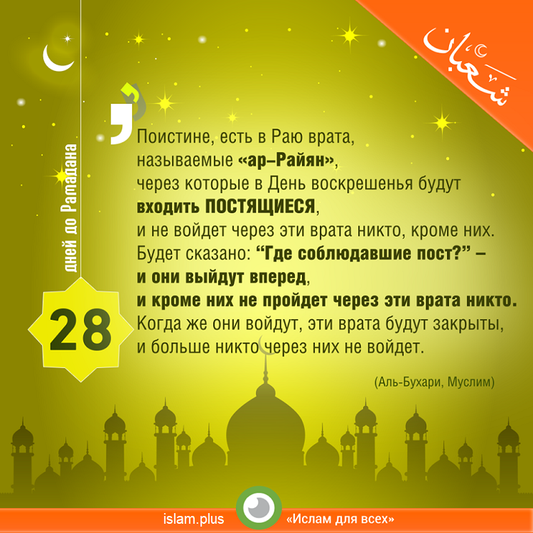 28 дней до Рамадана