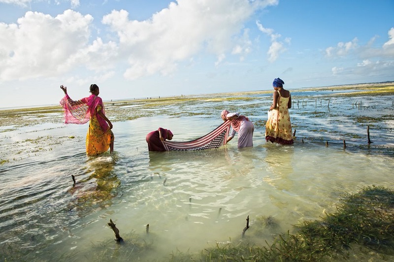 Еще один способ использования канги: девушки из Бведжуу ловят ею рыбу