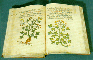  Манускрипт 14-го века, содержащий медицинский текст