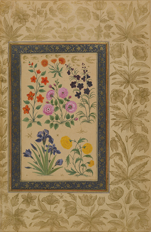 Выполненная в 1630 году для могольского принца Дара Шико, эта работа очень тонко иллюстрирует несколько видов цветов из Центральной Азии, которые также были привезены в Европу: розы, ирис, дельфиниум, и, по всей вероятности, азиатские ноготки
