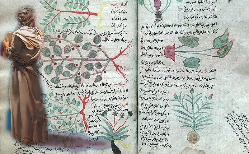 Ибн Хубал аль-Багдади, «Избранные произведения по медицине», XII в.