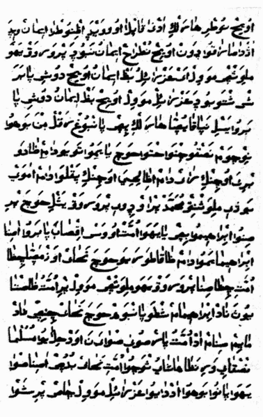 Наверное, именно поэтому ни один из тюркских языков, используемых в то время татарами, так и не прижился среди первых беларуских мусульман. 