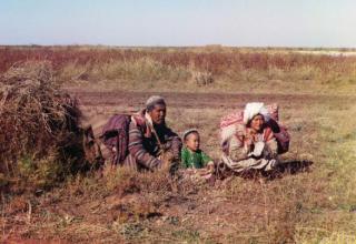 Киргизские кочевники в Голодной степи (на территории современных Узбекистана и Казахстана)