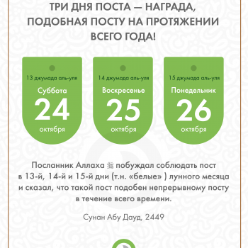 СУННА-ПОСТ В "БЕЛЫЕ" ДНИ