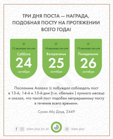 СУННА-ПОСТ В "БЕЛЫЕ" ДНИ