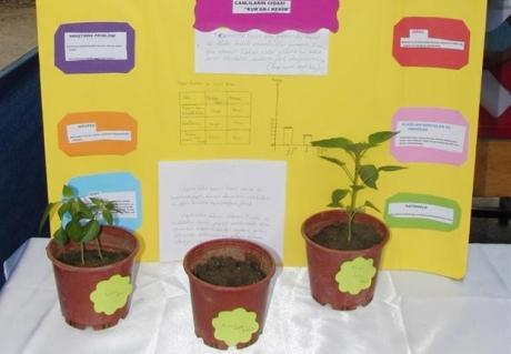 Турецкая школьница утверждает, что Коран ускоряет рост растений