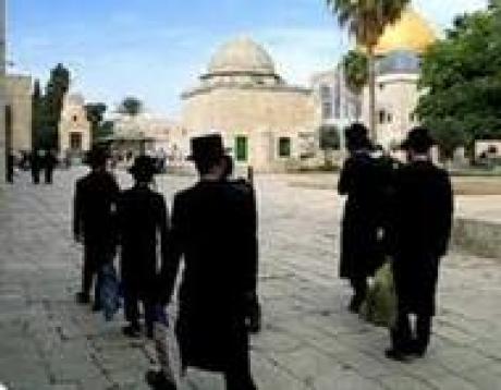 Израильский парламентарий заявил, что евреи имеют право молиться в аль-Аксе