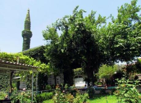 «Зеленая» мечеть в Турции воспевает красоту природы и привлекает туристов