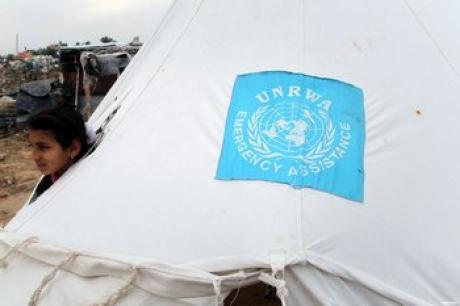UNRWA предупредило о возможном прекращении деятельности