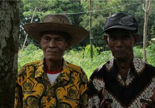 Производство пальмового масла ‒ причина сведения лесов в Индонезии