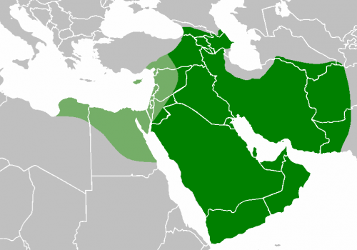 Территории исламского мира во время правления Али. Территории, захваченные Муавией, окрашены в светло-зеленый цвет