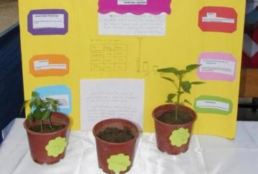 Турецкая школьница утверждает, что Коран ускоряет рост растений