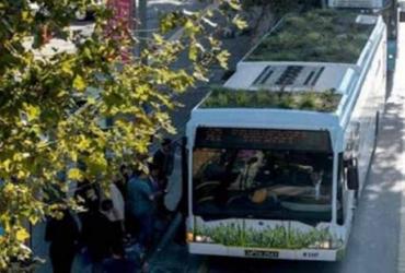 В Стамбуле курсирует «зеленый» автобус