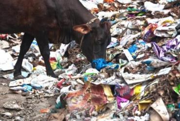 Иордания запретит пластиковые пакеты по примеру Кувейта, Катара и ОАЭ