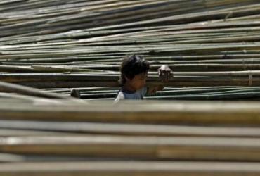 Буддисты и мусульмане вместе трудятся в «бамбуковом бизнесе» на юге Таиланда