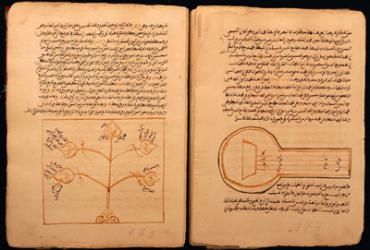 Ученые обсудили будущее древних манускриптов Мали