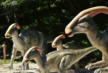 Почему Аллах уничтожил динозавров?