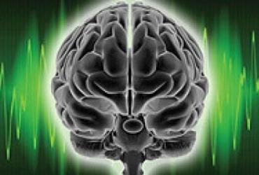 Мозг – мысль – сознание