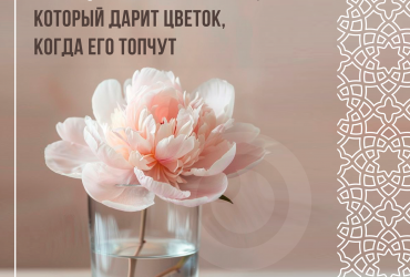 Прощение - это аромат