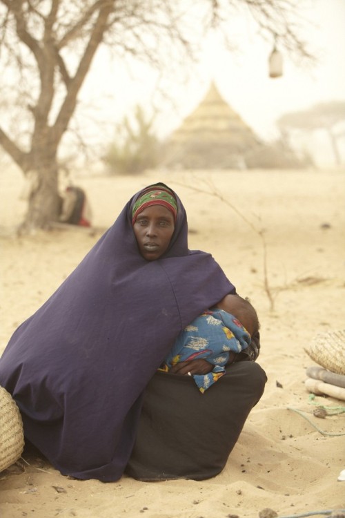 Фатима Мухаммад Али (25-летняя жительница деревни Андрабади в северном Чаде) пытается построить новое укрытие для себя и своей семьи, состоящей из четырех детей.
