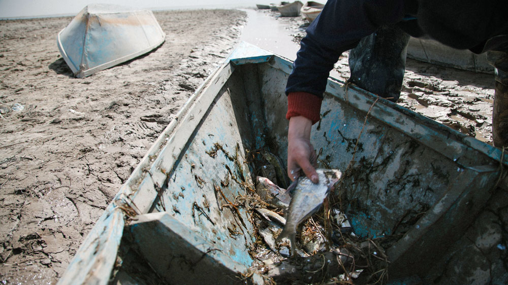Рыбак выгружает свой улов из лодки; рыба поймана в озере Сарыбаш, которое некогда было заливом Аральского моря