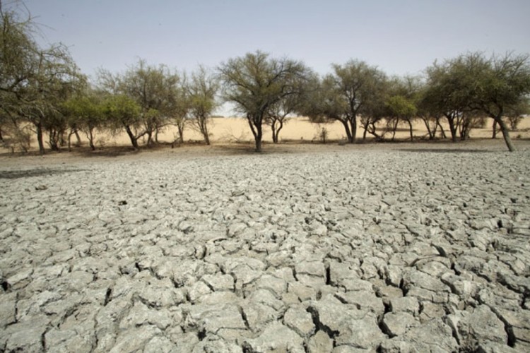 В 2012 году несколько стран в регионе Сахеля снова столкнулись с продовольственным кризисом в виду усугубления опустынивания, как здесь, - в провинции Бахр Эль-Газаль в северном Чаде.