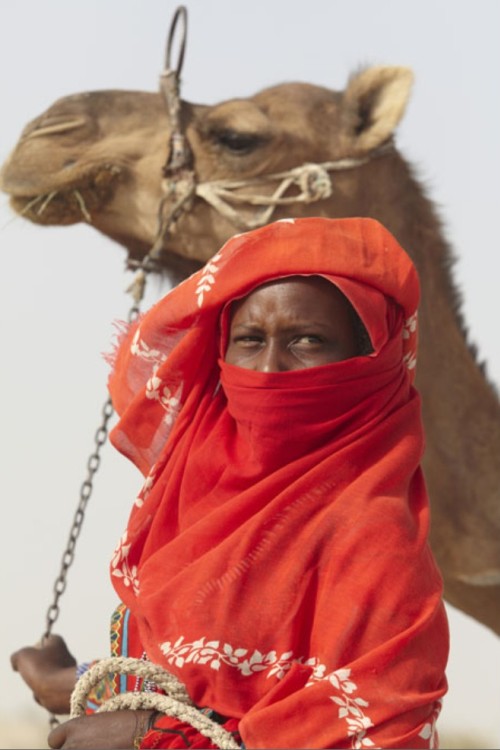  Хава Ахмад ведет верблюда и четырех овец на продажу на рынок в Муссуро