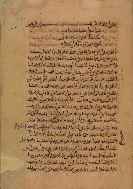 Начало описания анатомии вен в арабском переводе рукописи Галена «Об анатомии» (De anatomicis administrationibus)