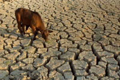 Засуха в Сахеле