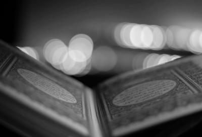 Вера — это семена, ожидающие благословенного дождя Корана