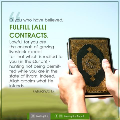 O you who have believed, fulfill [all] contracts
