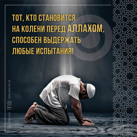 Тот, кто становится на колени перед Аллахом...