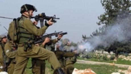 В 2013 году израильскими солдатами ранено 3608 палестинцев