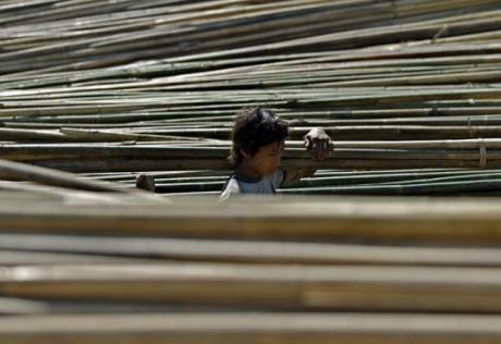 Буддисты и мусульмане вместе трудятся в «бамбуковом бизнесе» на юге Таиланда