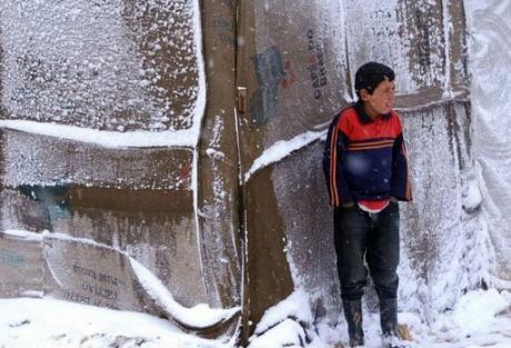 Улемы: помощь замерзающим сирийцам и палестинцам – долг мусульман
