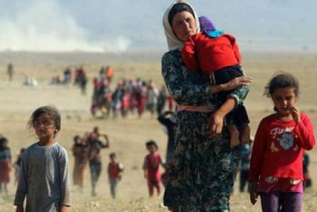 ООН призывает собрать 497 млн долларов помощи Ираку