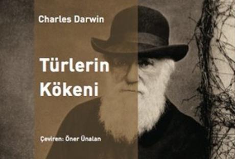Турецких школьников больше не будут учить теории Дарвина