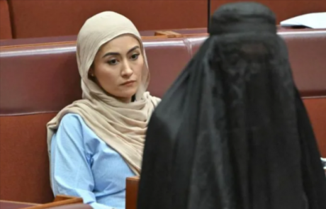 Бурка как провокация: австралийские сенаторы осудили действия Хэнсон