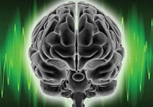Мозг – мысль – сознание