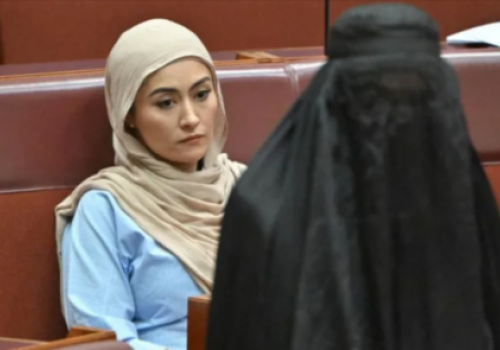 Бурка как провокация: австралийские сенаторы осудили действия Хэнсон