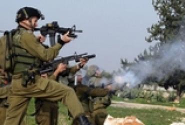 В 2013 году израильскими солдатами ранено 3608 палестинцев