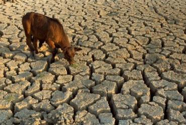 Засуха в Сахеле