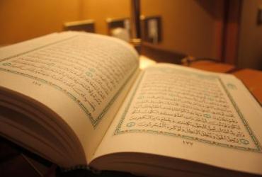 В День короля в Нидерландах мусульмане раздавали Кораны