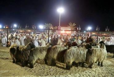 Фестиваль халяля в Катаре стал праздником для взрослых и детей