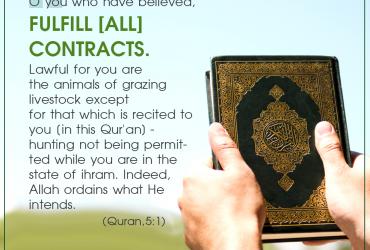 O you who have believed, fulfill [all] contracts