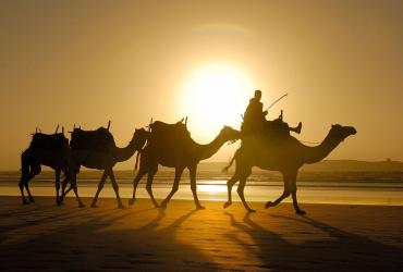 пост путника