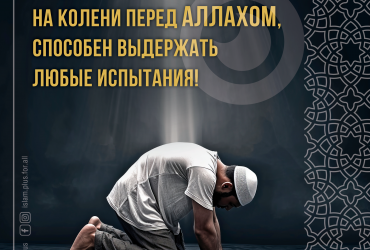 Тот, кто становится на колени перед Аллахом...